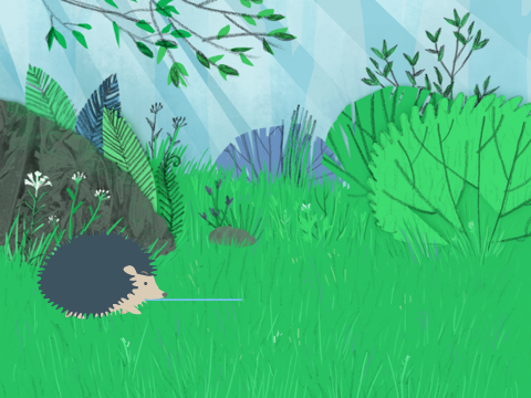 The funny hedgehog