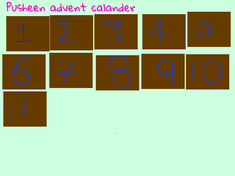  Pusheen Advent Calender