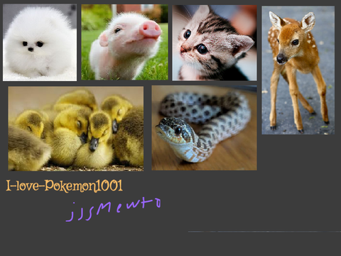 Sign - Cute Animals remix