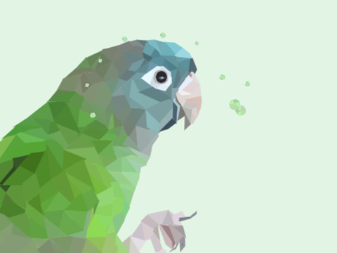 Conure Polyart
