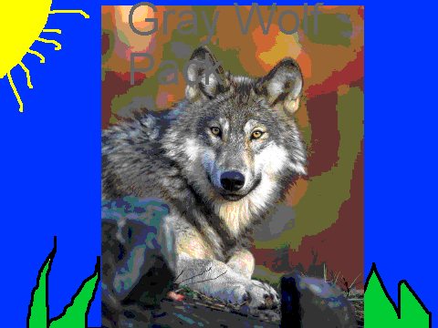 Gray Wolf Project