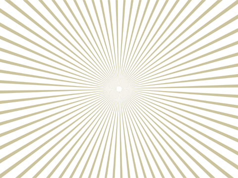 Shadow guesser