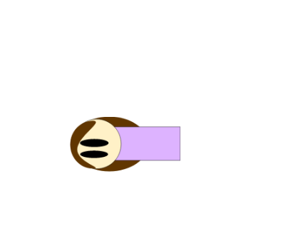 My First Animation!