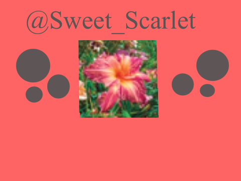 ♡ Intro Contest Entry! ♡