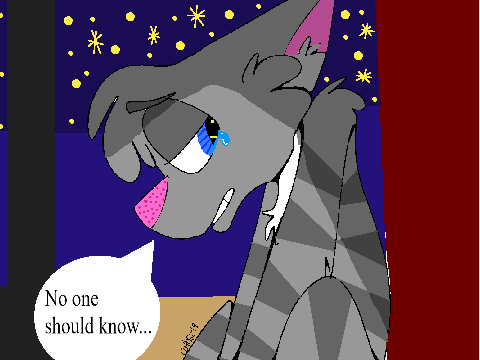 My CC entry