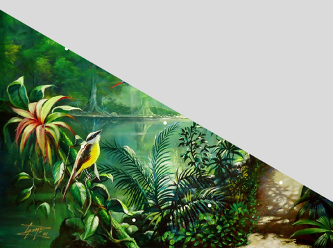 Rainforest 