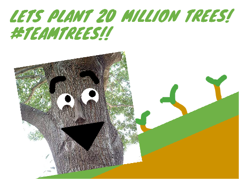 #TEAMTREES