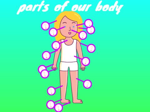 parts of our body