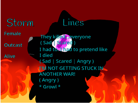 Audition for Storm