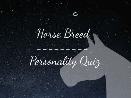 Horse Breed Personality Quiz
