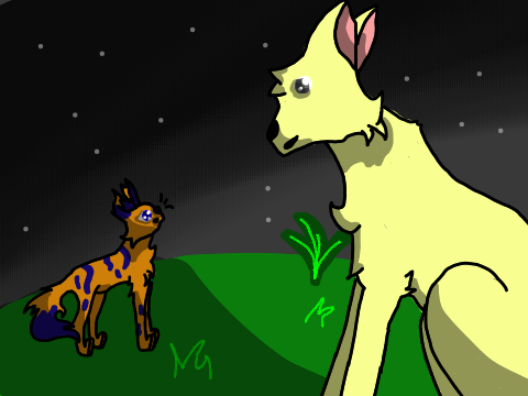 Rainkit & Thornstar Art - For Cat