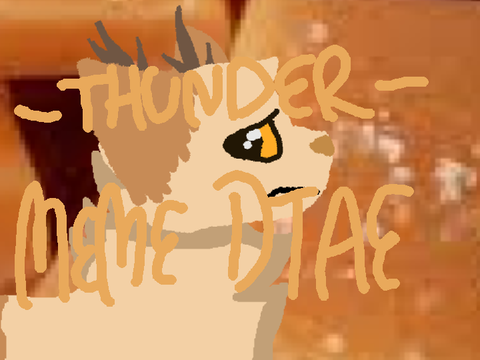 -Thunder- Meme DTAE