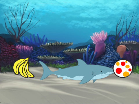 which would the shark eat