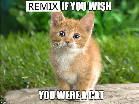 Remix if you wish you were a cat!!