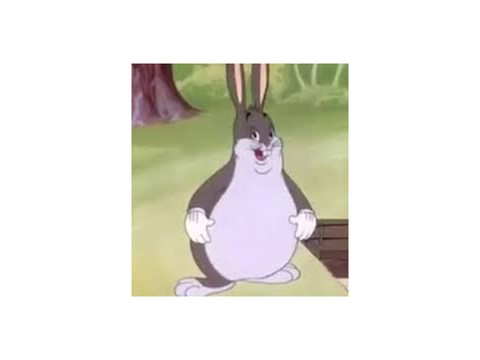 Big Chungus! 