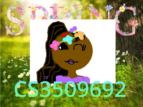 Spring intro 2020