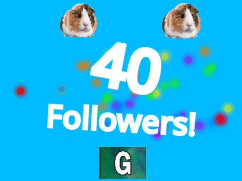 40 Followers!