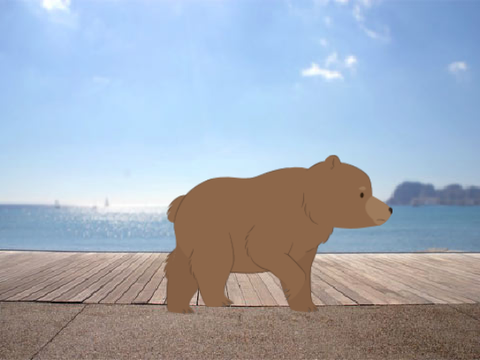Baer
