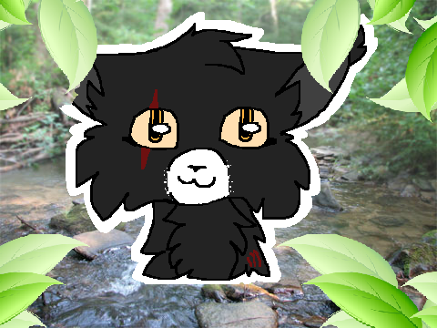 Passiontail!