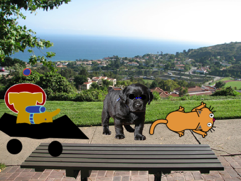 Dog the movie