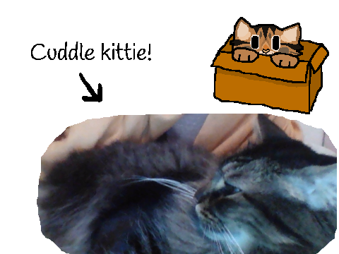 Me, chilling with my little brother (a cat).