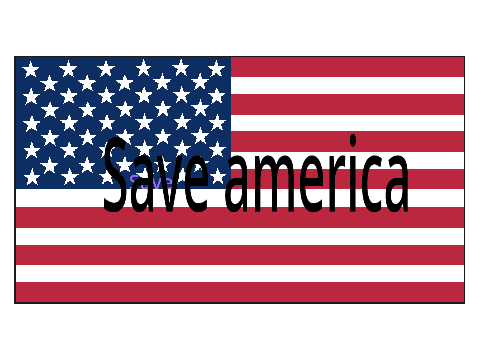 SAVE AMERICA