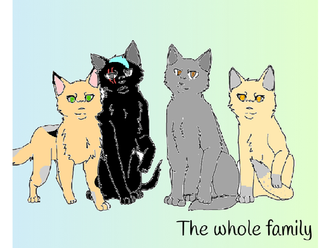My warrior cat family