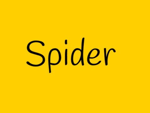 Spider poem