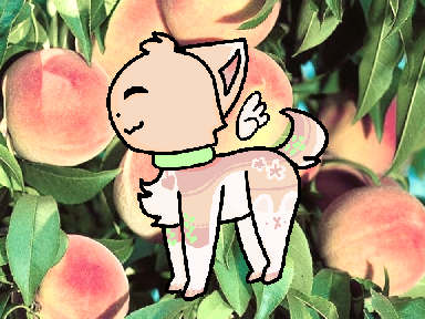 // DTAE \\ 