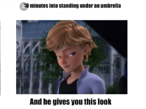 Miraculous Memes remix