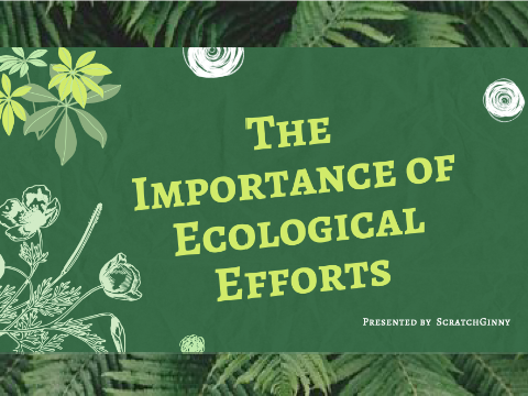  ~ The Importance of Ecological Efforts ~