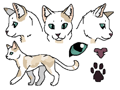 Sandkit