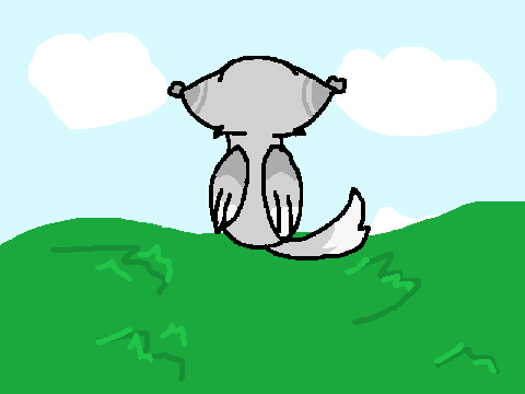 A Random Animation