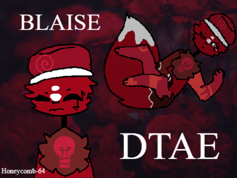 Blaise DTAE