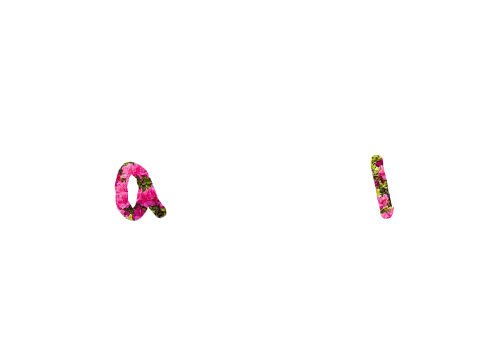 ⠀ 