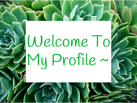 Welcome To My Profile!