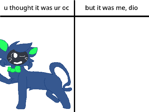 another cat...