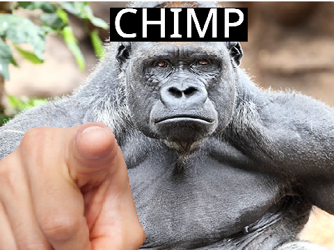CHIMP