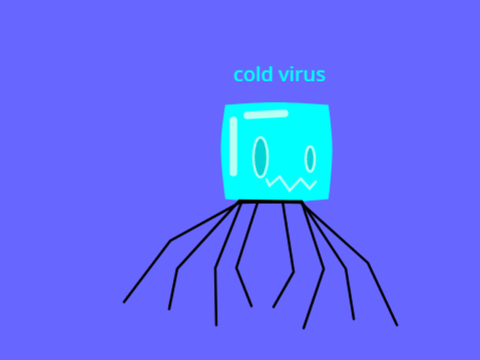 Project thumbnail