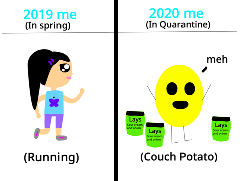 2019 vs 2020