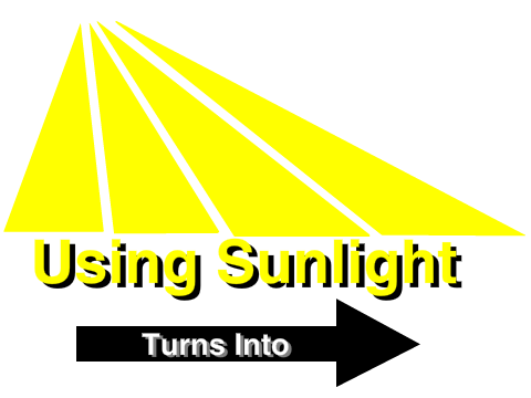 The Process of Photosynthesis
