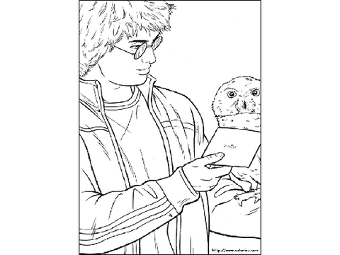 Harry and  Hedwig-REMIX AND COLOR remix