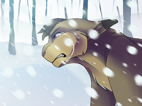 Why Won't You Let Me Help You?