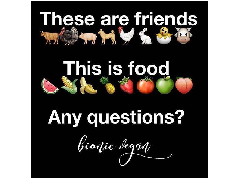 Vegan and vegetarian quotes 