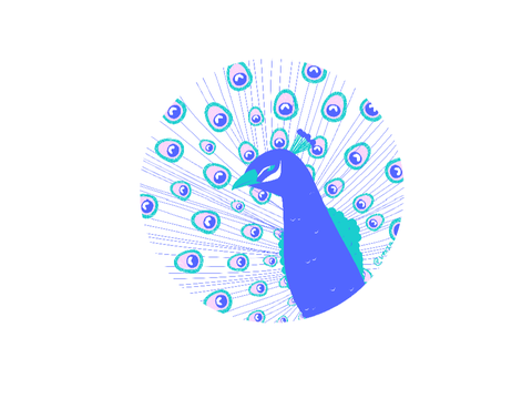 PP4 SU - Peacock