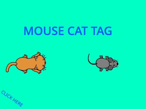 mouse cat tag