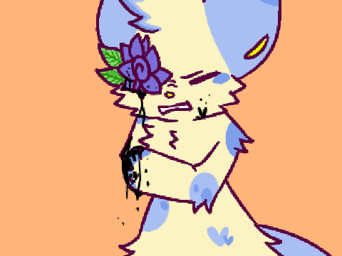 Close Up || Wip