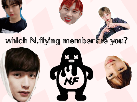 Which N.flying member are you?