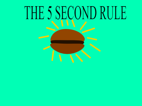 the 5 second rule
