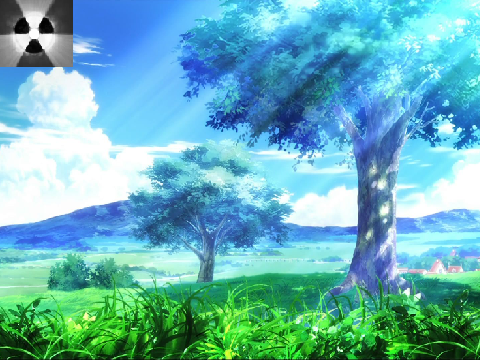 Fields